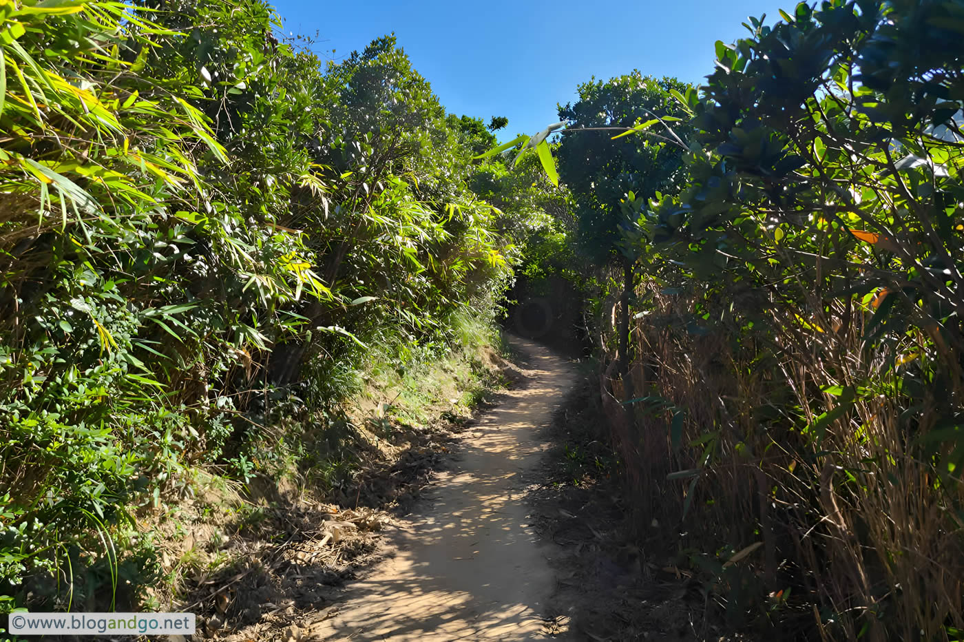 Wong Nai Chung to Stanley - Mixture of Gentle Climbs and Steep Sections